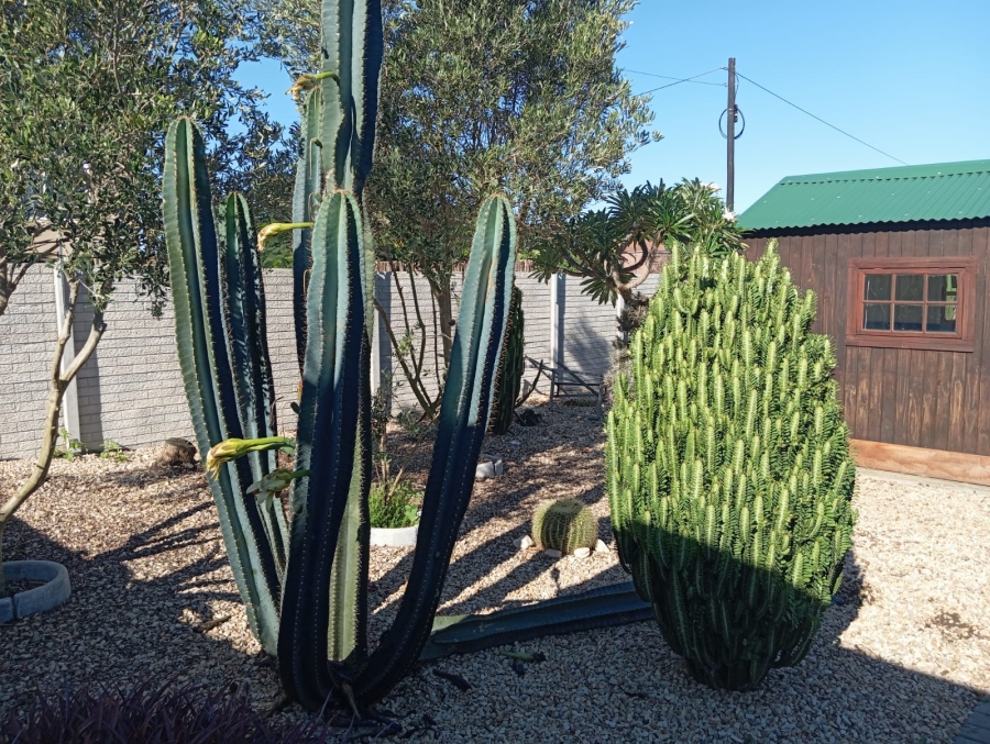 To Let 3 Bedroom Property for Rent in Cannonville Eastern Cape